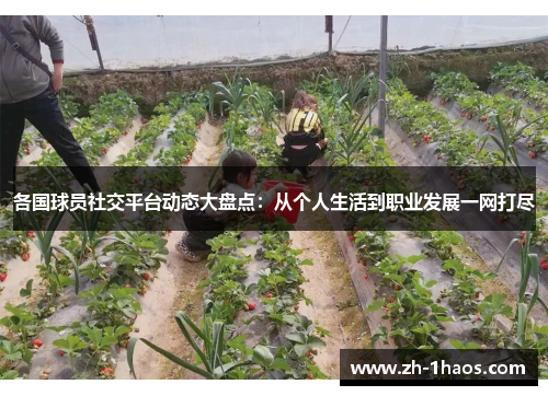 各国球员社交平台动态大盘点:从个人生活到职业发展一网打尽 各国球员社交平台动态大盘点:从个人生活到职业发展一网打尽