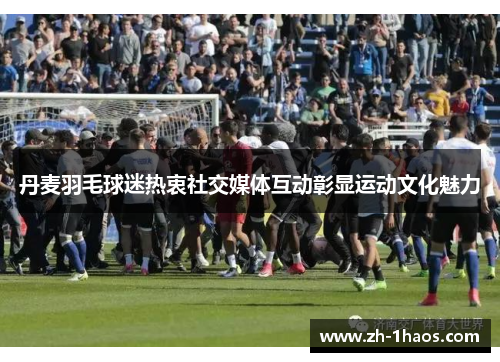 丹麦羽毛球迷热衷社交媒体互动彰显运动文化魅力 丹麦羽毛球迷热衷社交媒体互动彰显运动文化魅力