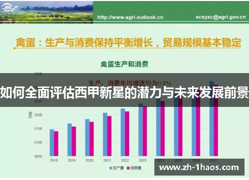 如何全面评估西甲新星的潜力与未来发展前景