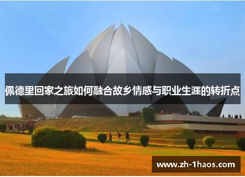 佩德里回家之旅如何融合故乡情感与职业生涯的转折点 佩德里回家之旅如何融合故乡情感与职业生涯的转折点