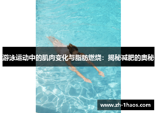 游泳运动中的肌肉变化与脂肪燃烧:揭秘减肥的奥秘 游泳运动中的肌肉变化与脂肪燃烧:揭秘减肥的奥秘