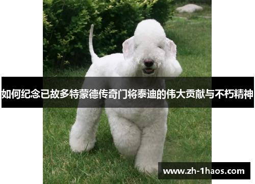 如何纪念已故多特蒙德传奇门将泰迪的伟大贡献与不朽精神