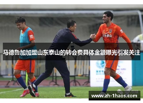 马德鲁加加盟山东泰山的转会费具体金额曝光引发关注