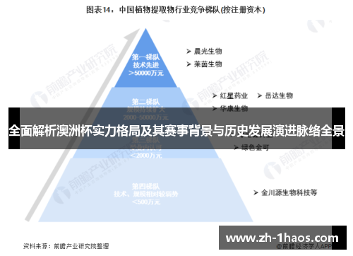 全面解析澳洲杯实力格局及其赛事背景与历史发展演进脉络全景