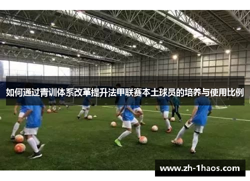 如何通过青训体系改革提升法甲联赛本土球员的培养与使用比例