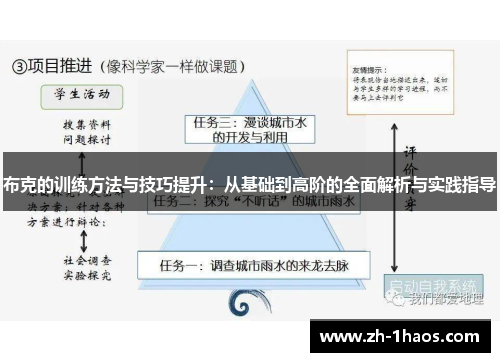 布克的训练方法与技巧提升：从基础到高阶的全面解析与实践指导