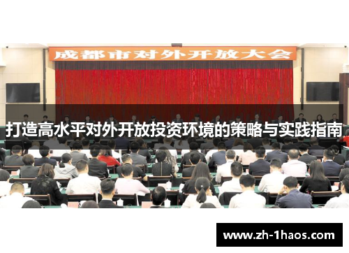 打造高水平对外开放投资环境的策略与实践指南 打造高水平对外开放投资环境的策略与实践指南
