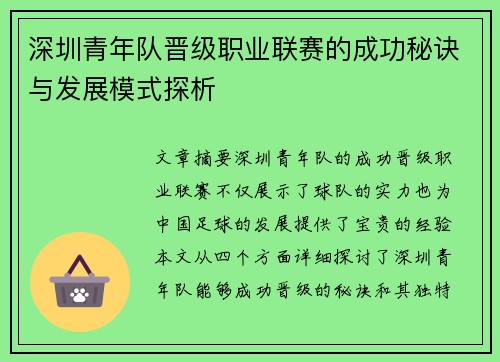 深圳青年队晋级职业联赛的成功秘诀与发展模式探析